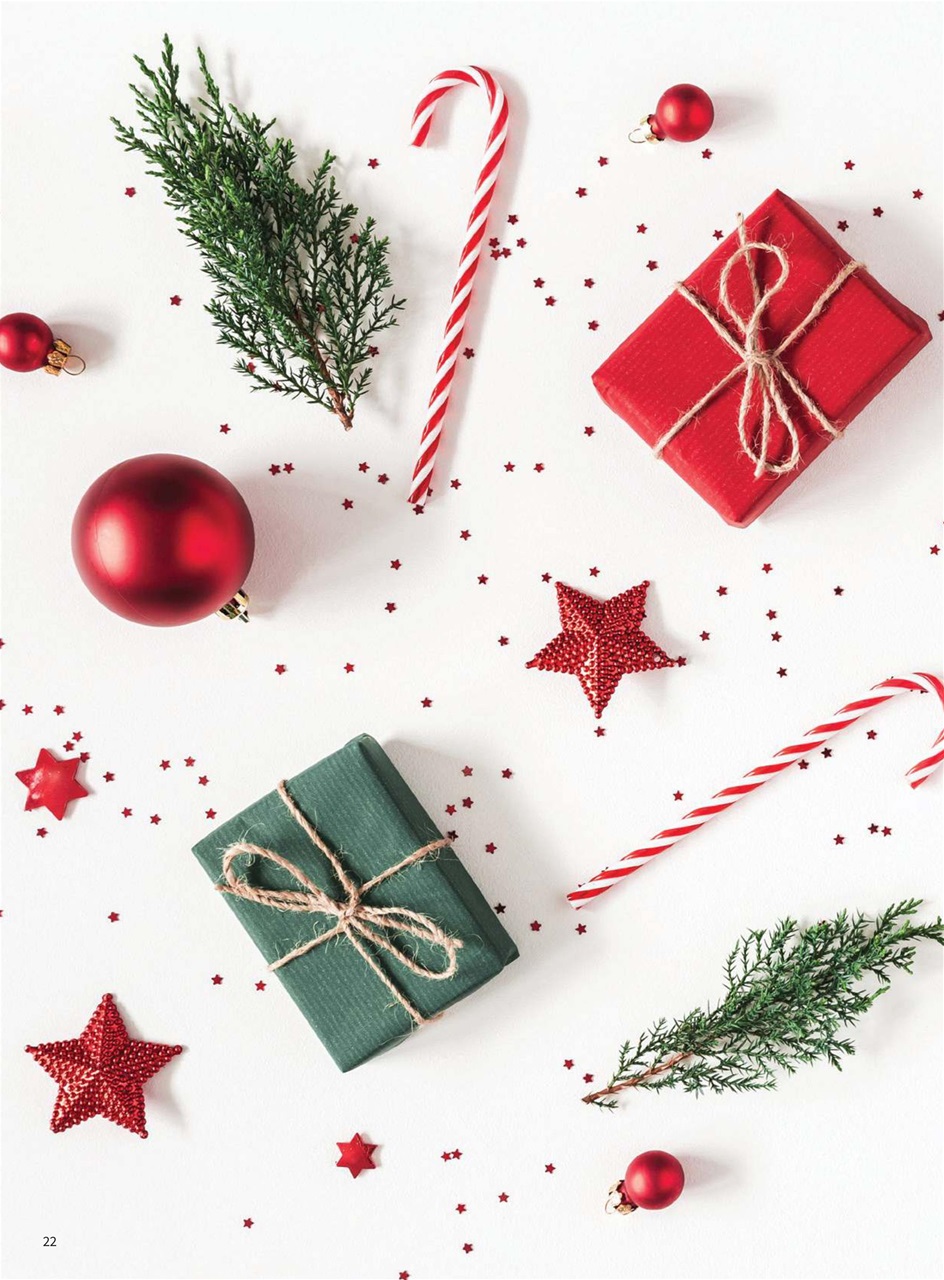 PlantBased Preview Pages