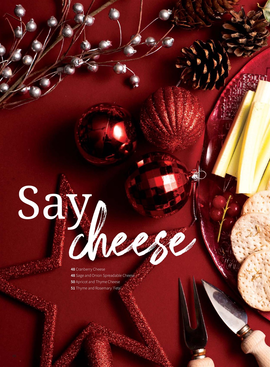 PlantBased Preview Pages