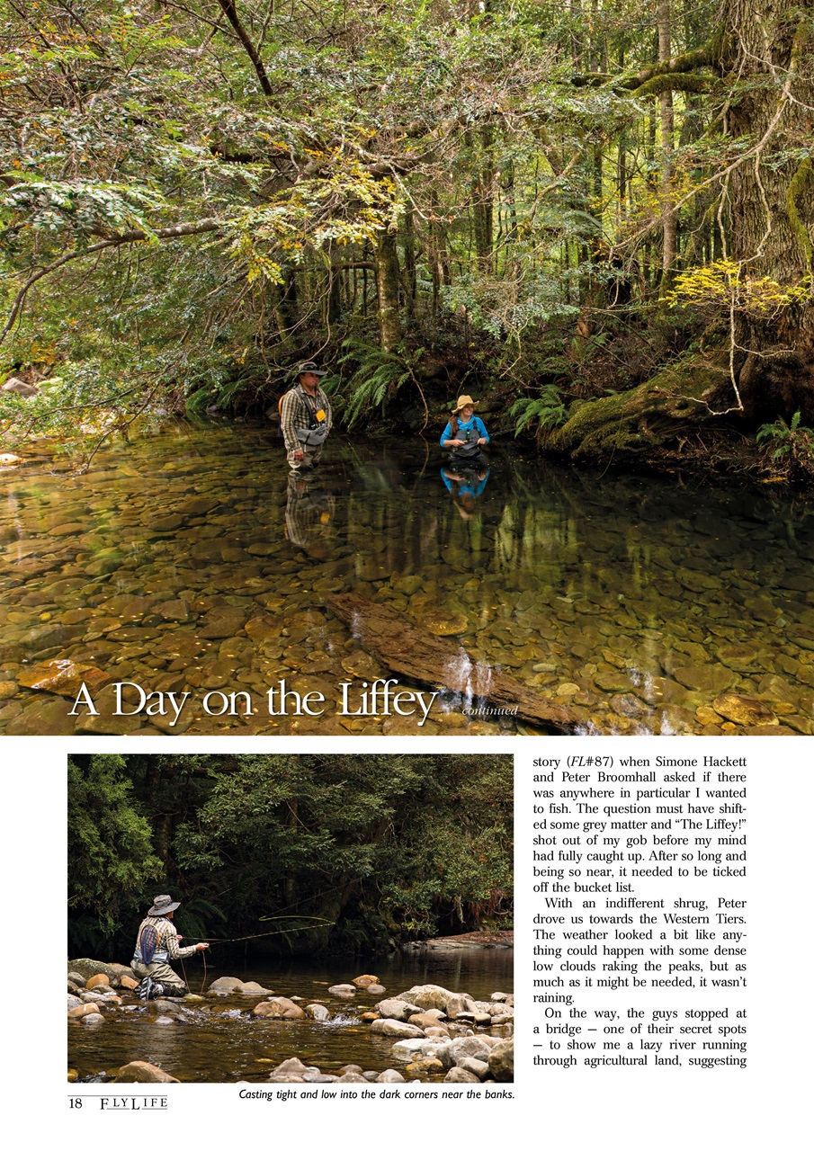 FlyLife Preview Pages