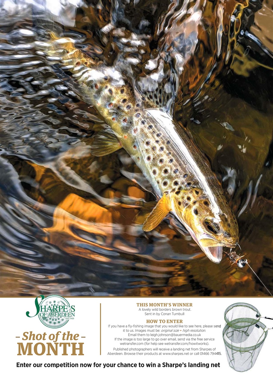 Trout Fisherman Preview Pages