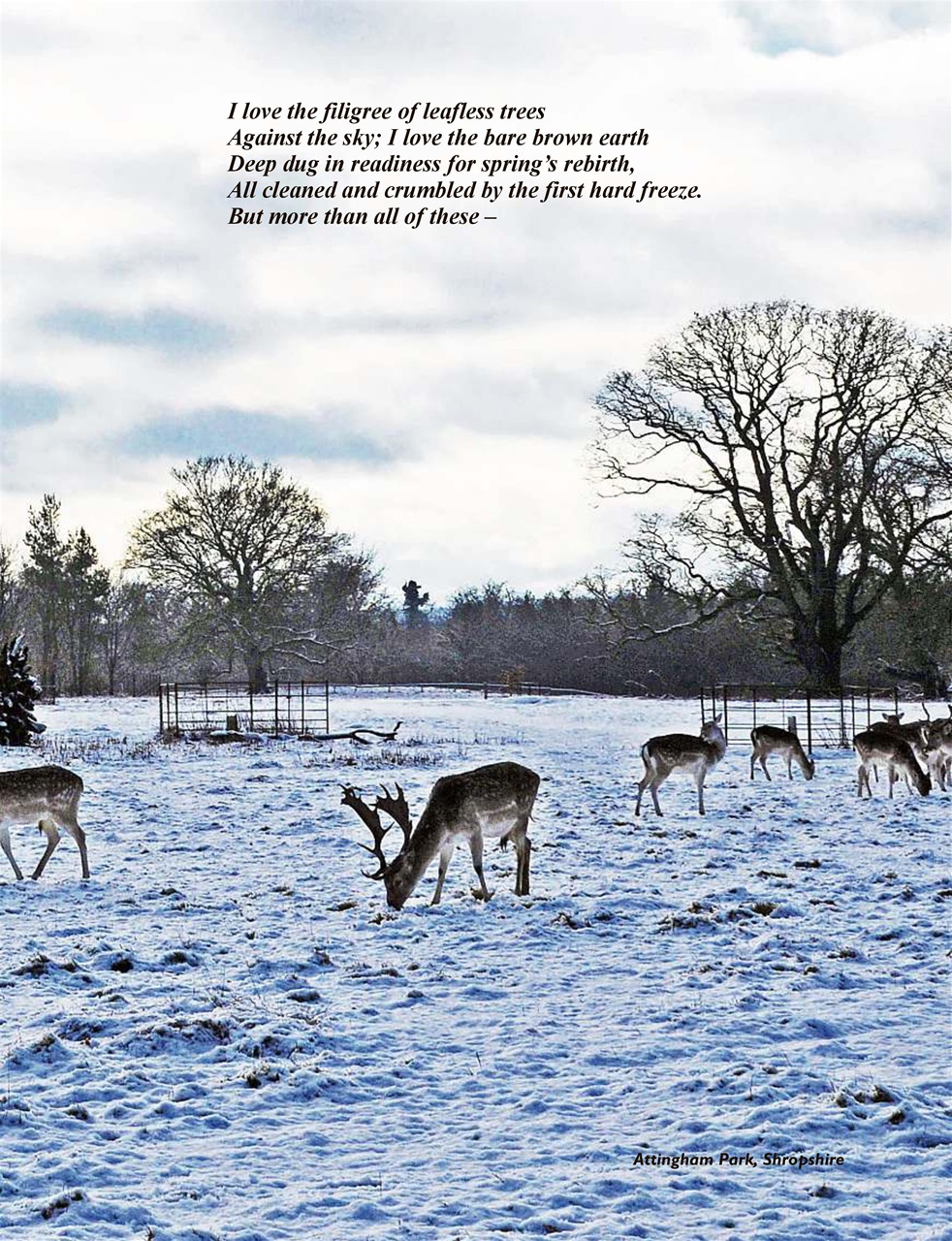 This England Preview Pages