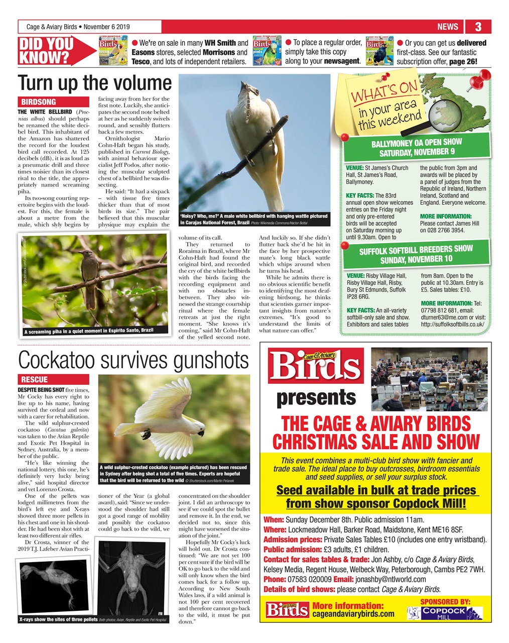 Cage & Aviary Birds Preview Pages