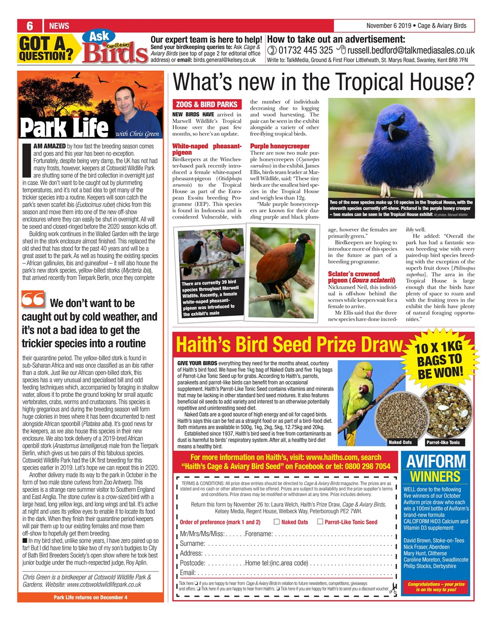 Cage & Aviary Birds Preview Pages