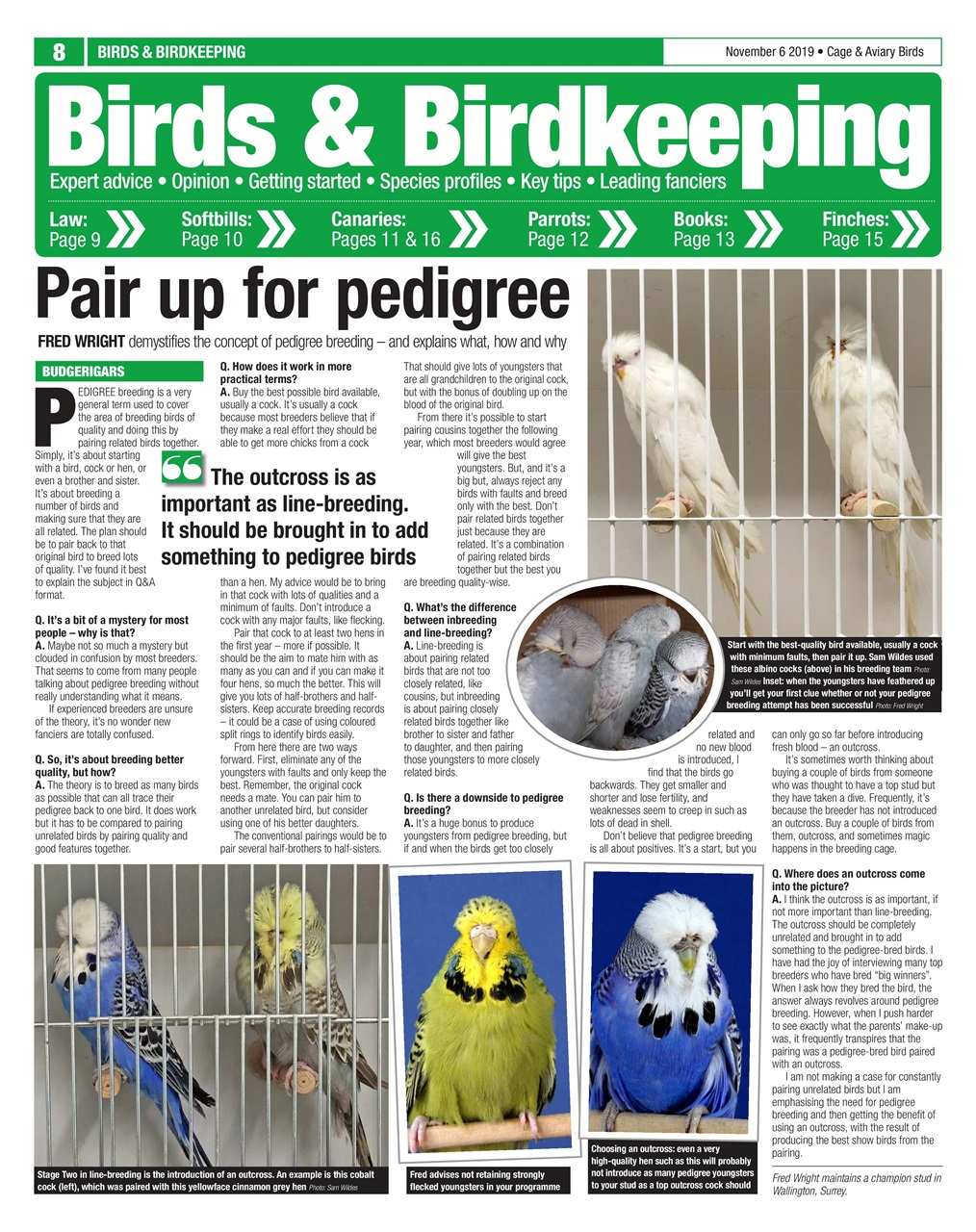 Cage & Aviary Birds Preview Pages