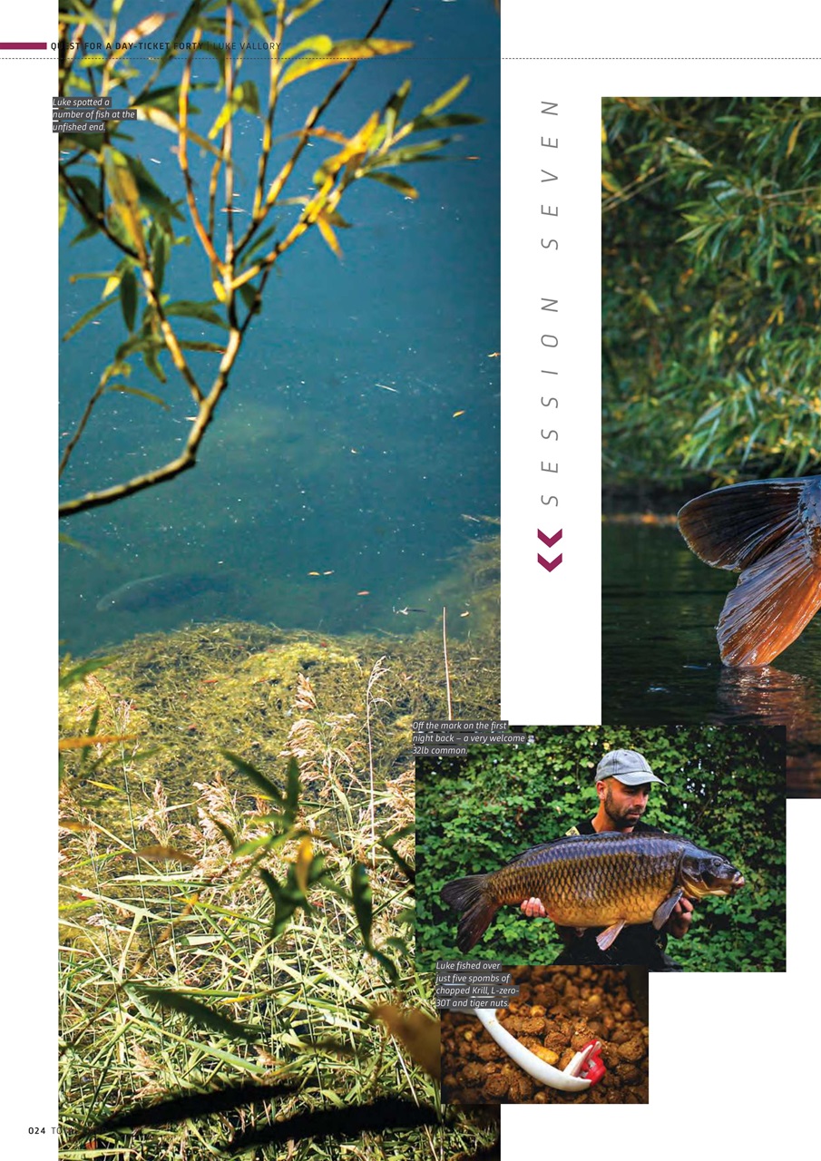 Total Carp Preview Pages