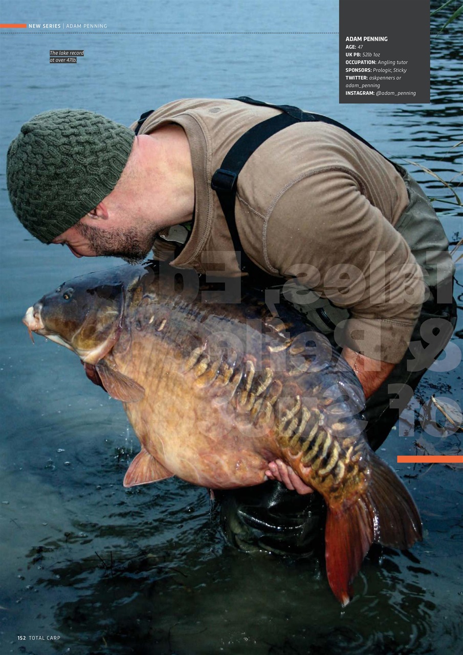 Total Carp Preview Pages