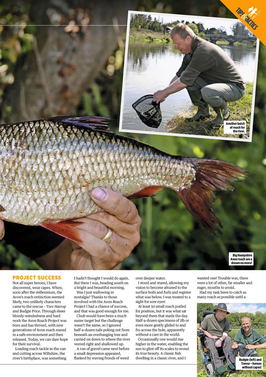 Angling Times Preview Pages