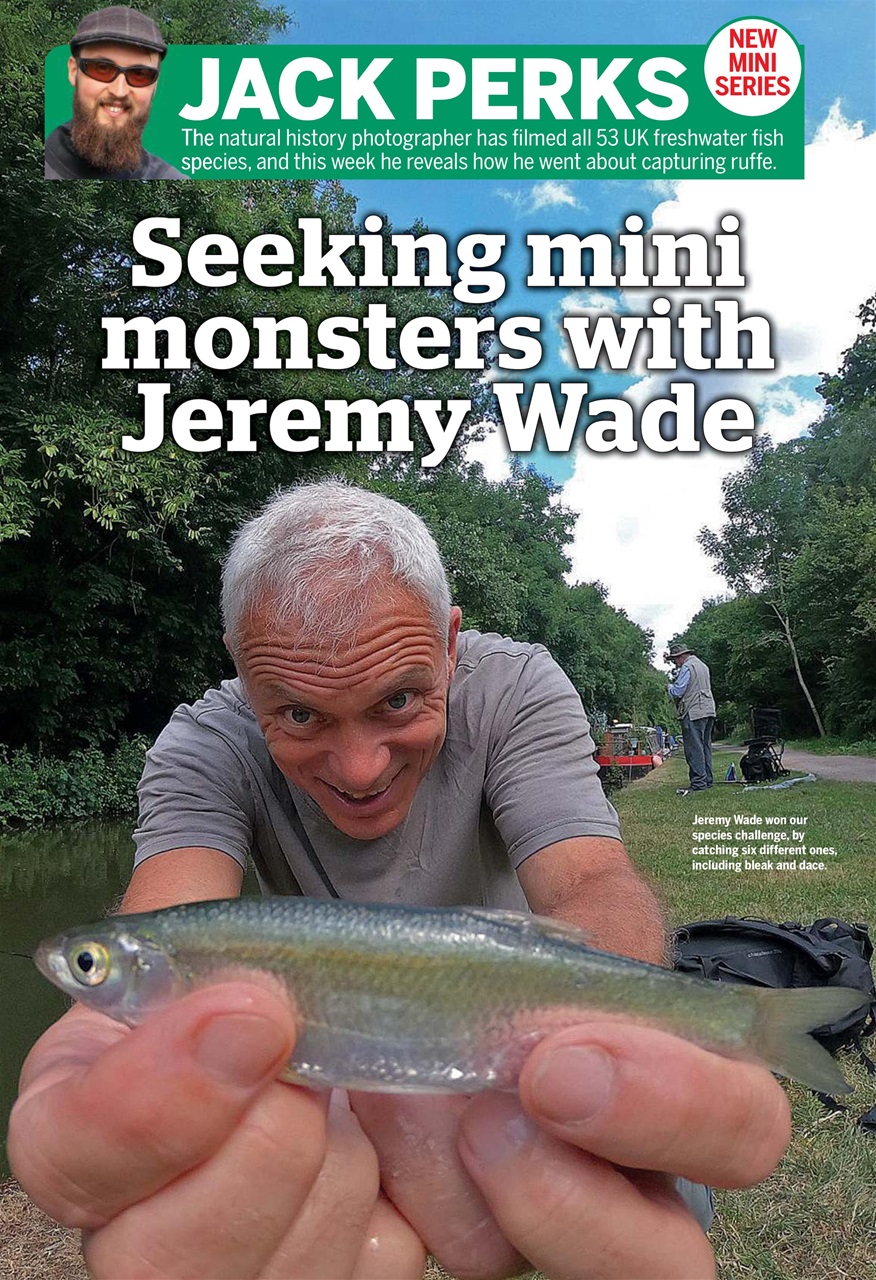 Anglers Mail Preview Pages