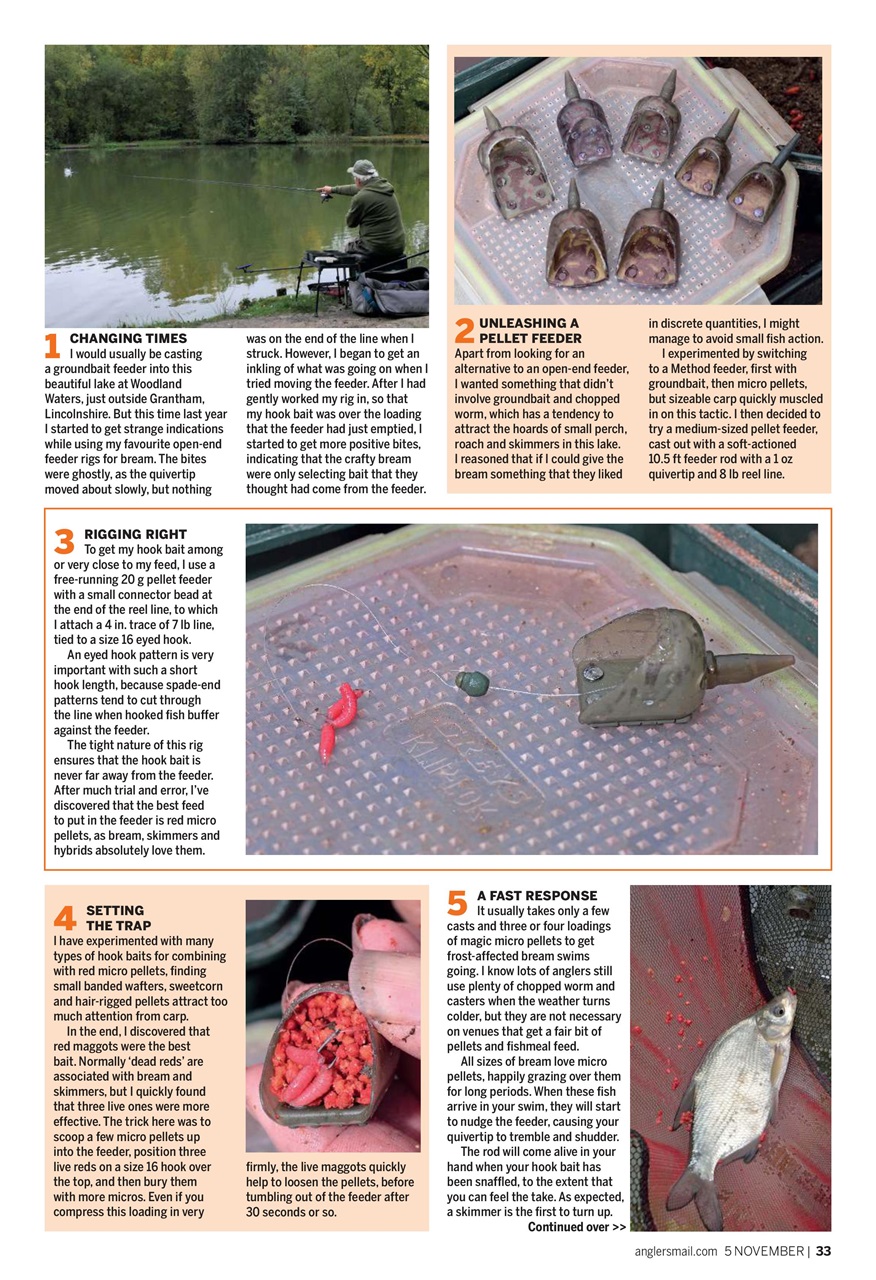 Anglers Mail Preview Pages