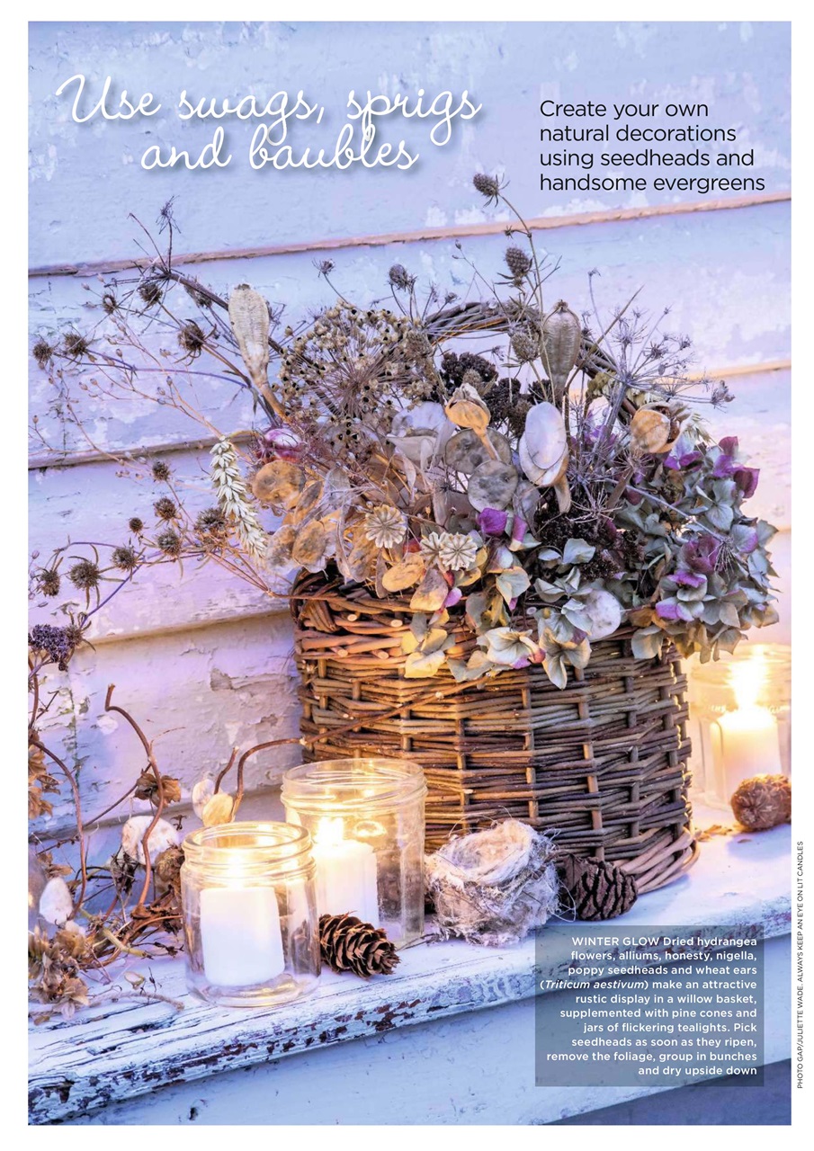 Garden Answers Preview Pages
