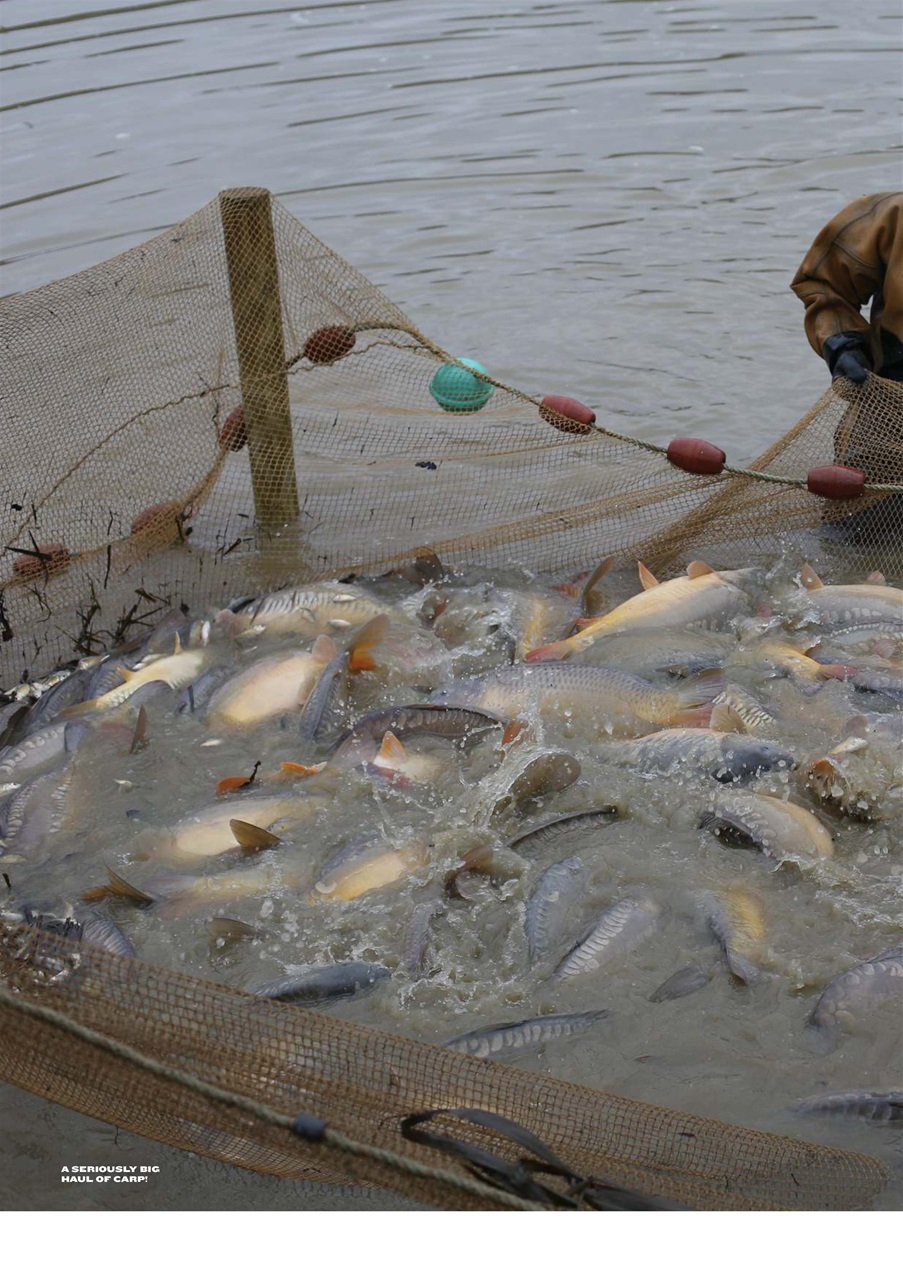 CARPology Magazine Preview Pages