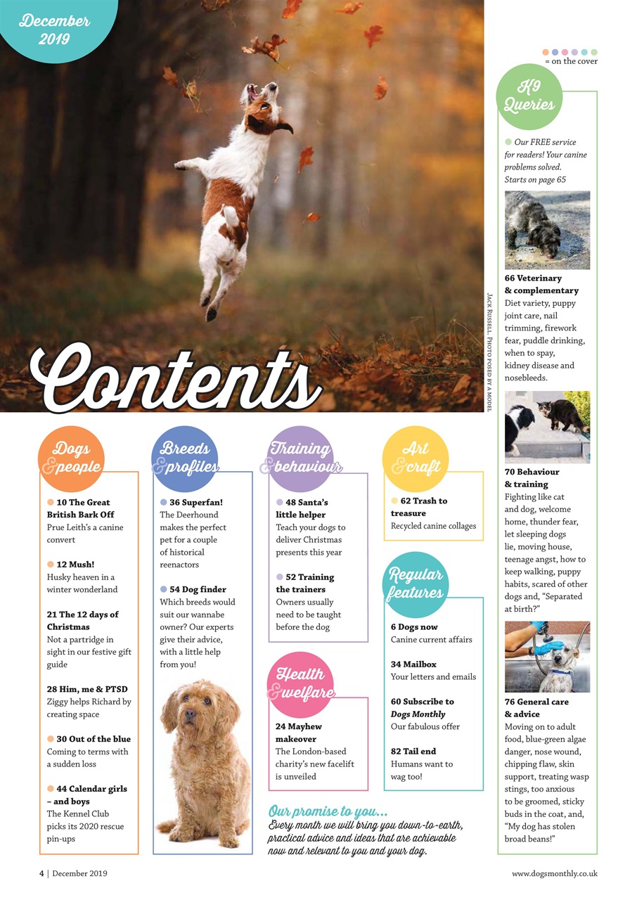 Dogs Monthly Preview Pages
