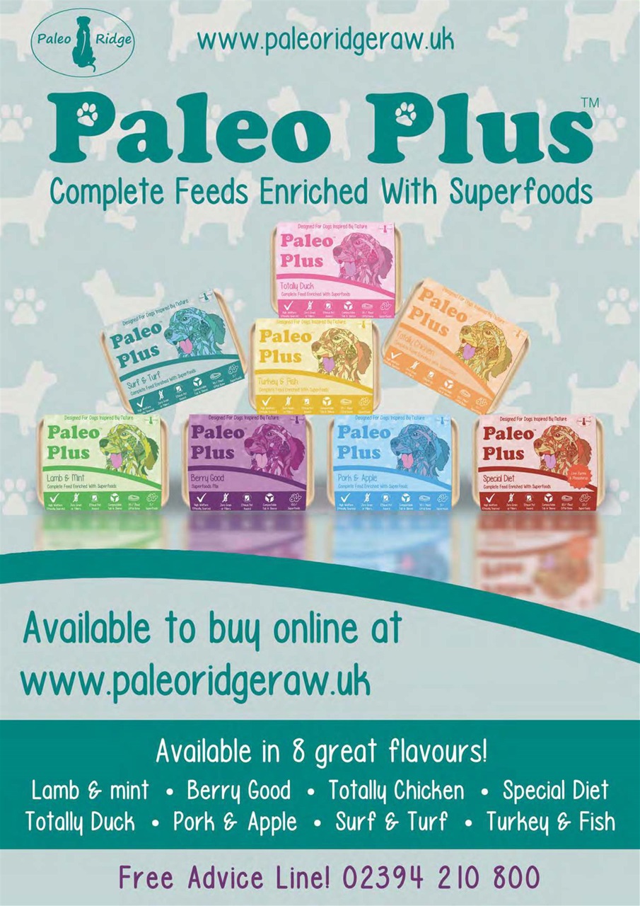 Dogs Monthly Preview Pages