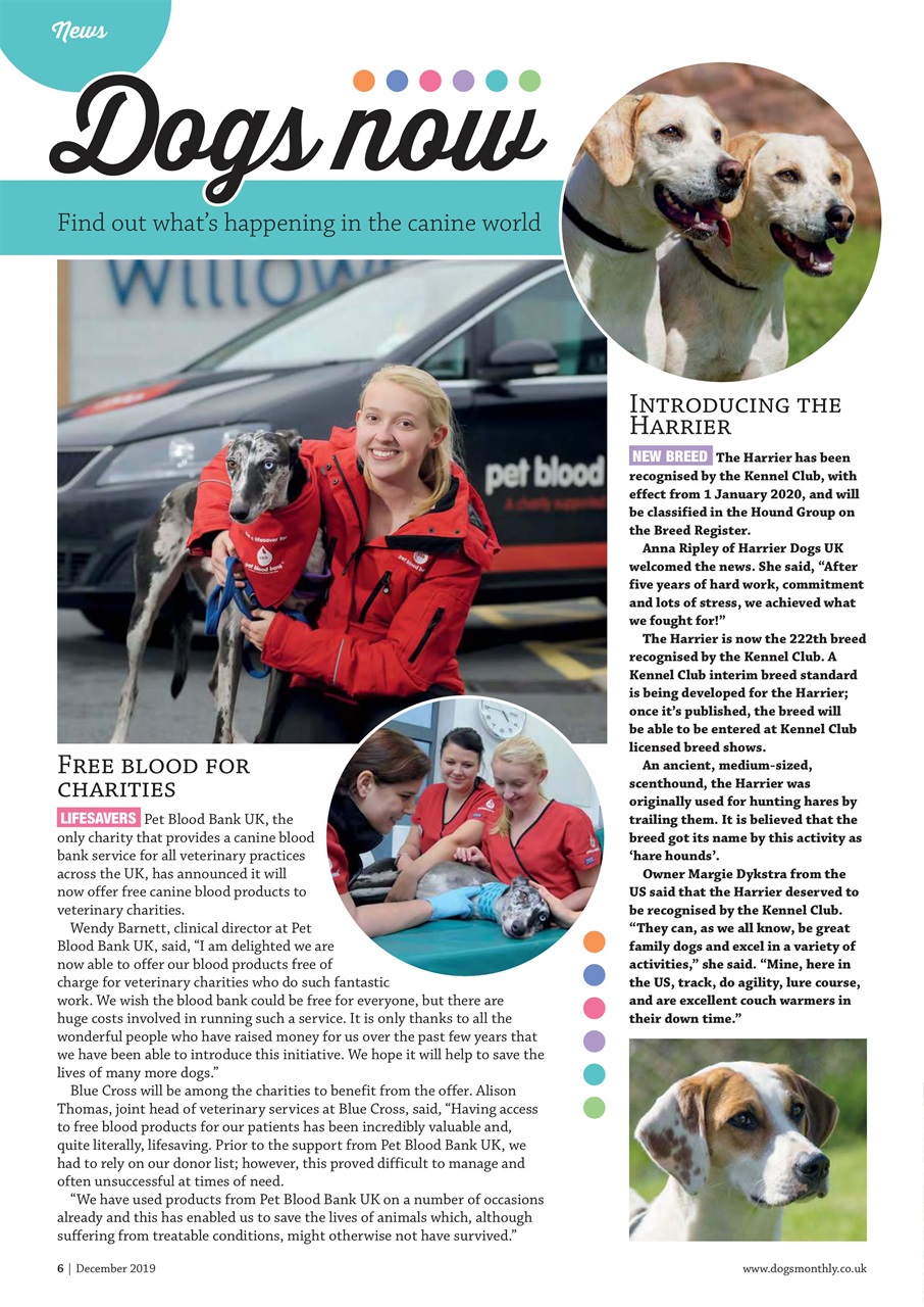 Dogs Monthly Preview Pages