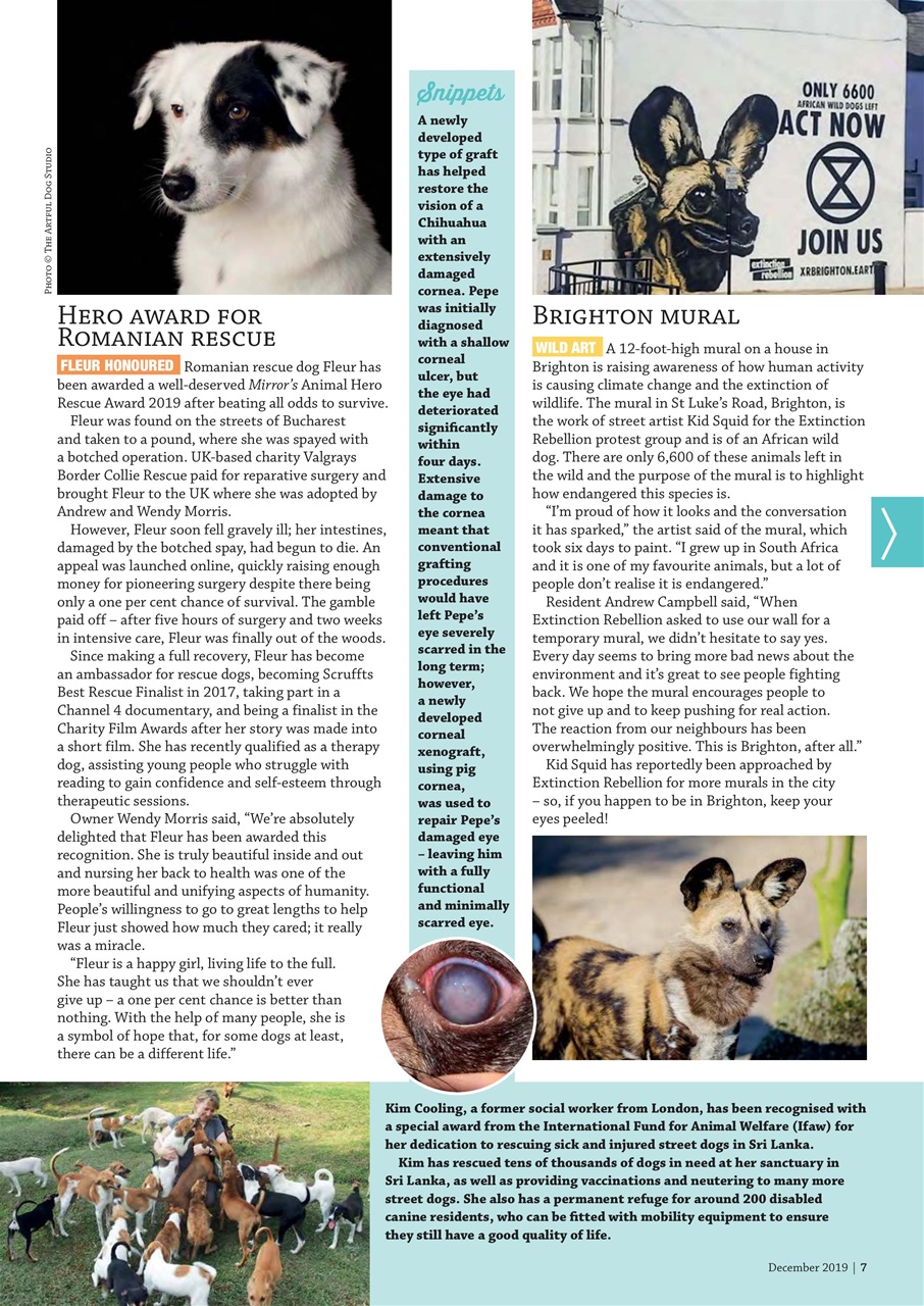 Dogs Monthly Preview Pages