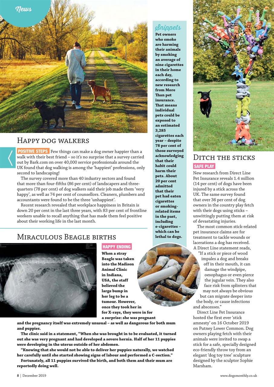 Dogs Monthly Preview Pages