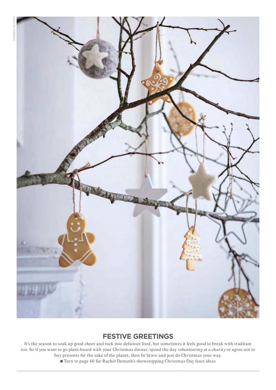 Vegetarian Living Preview Pages