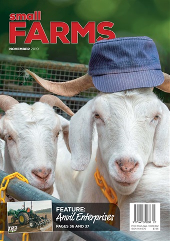 Small Farms issue November 2019