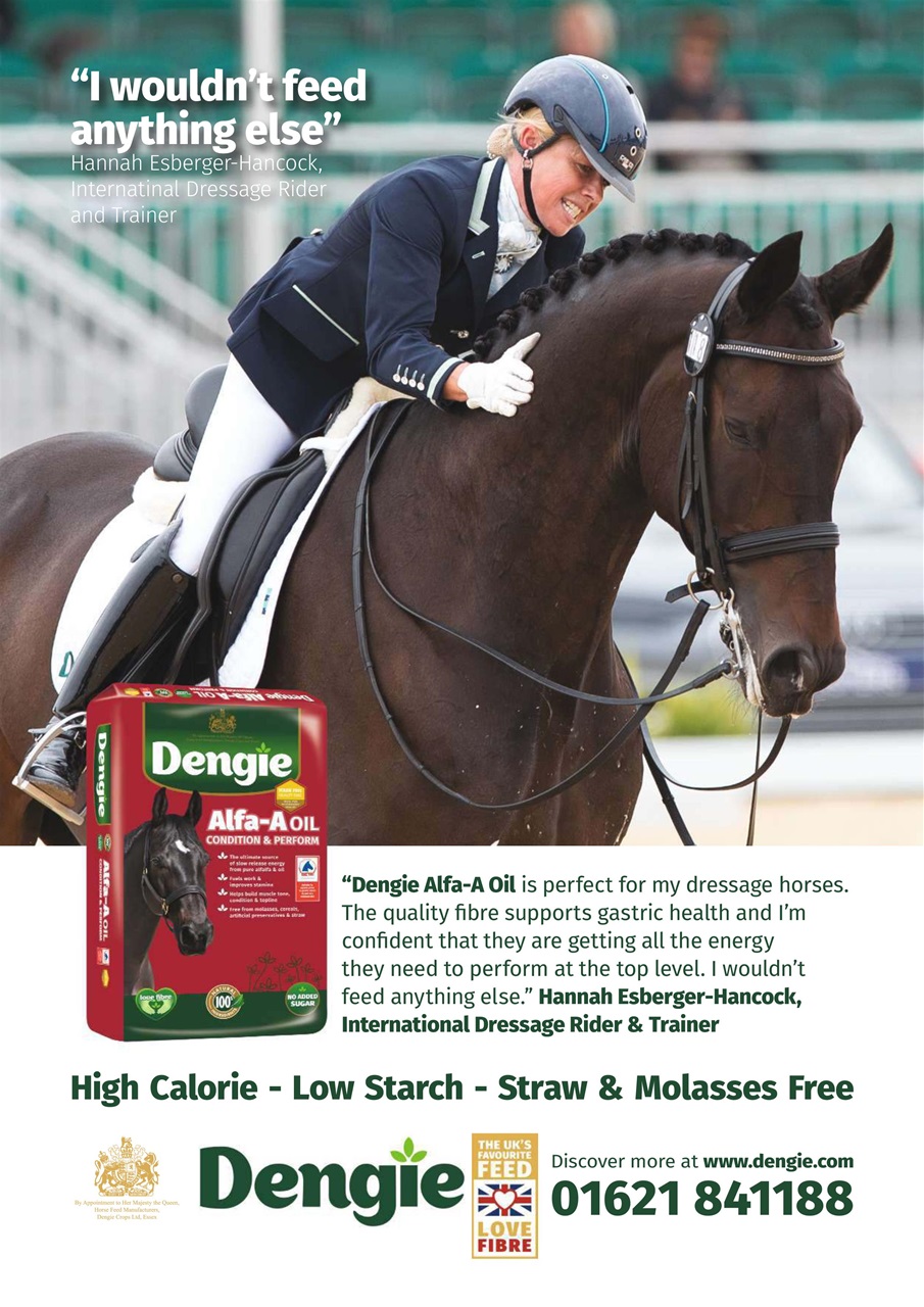 Your Horse Preview Pages