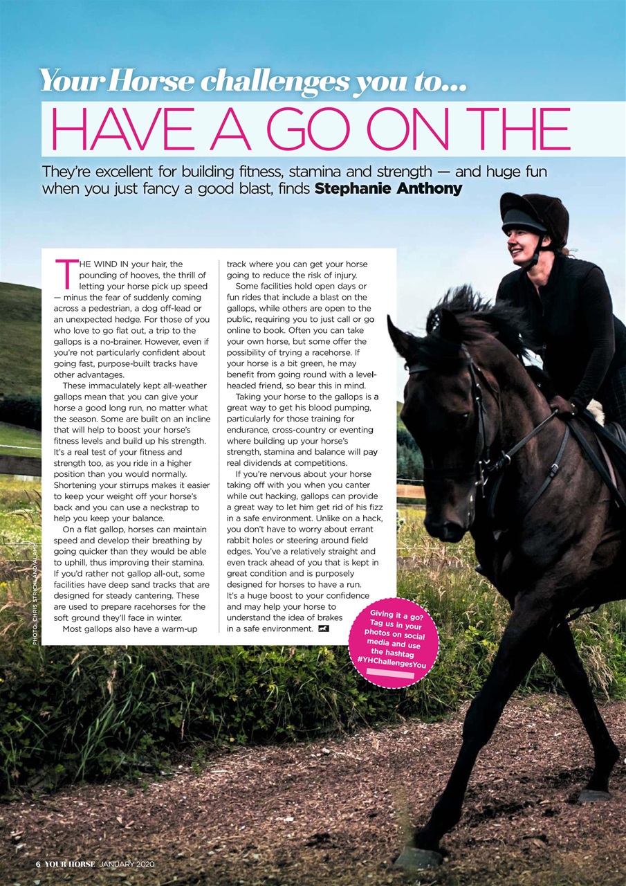 Your Horse Preview Pages