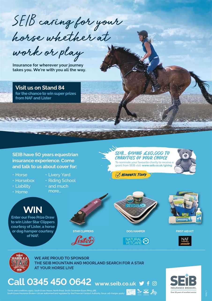 Your Horse Preview Pages