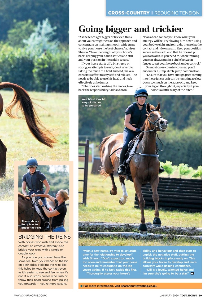 Your Horse Preview Pages
