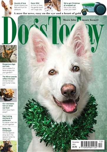 Dogs Today Magazine issue 