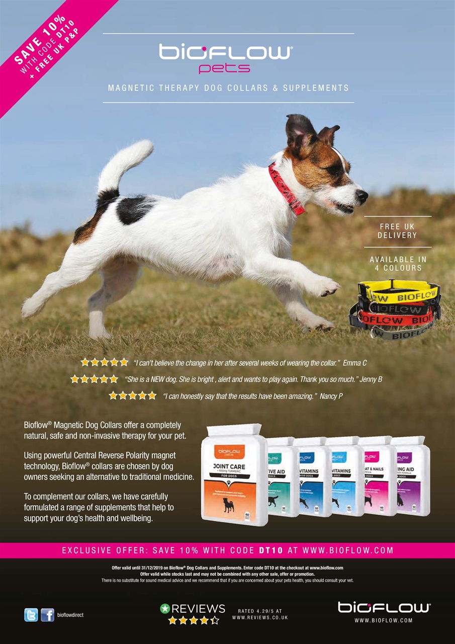 Dogs Today Magazine Preview Pages