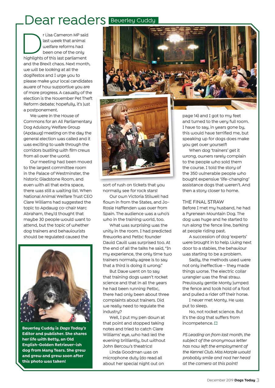 Dogs Today Magazine Preview Pages