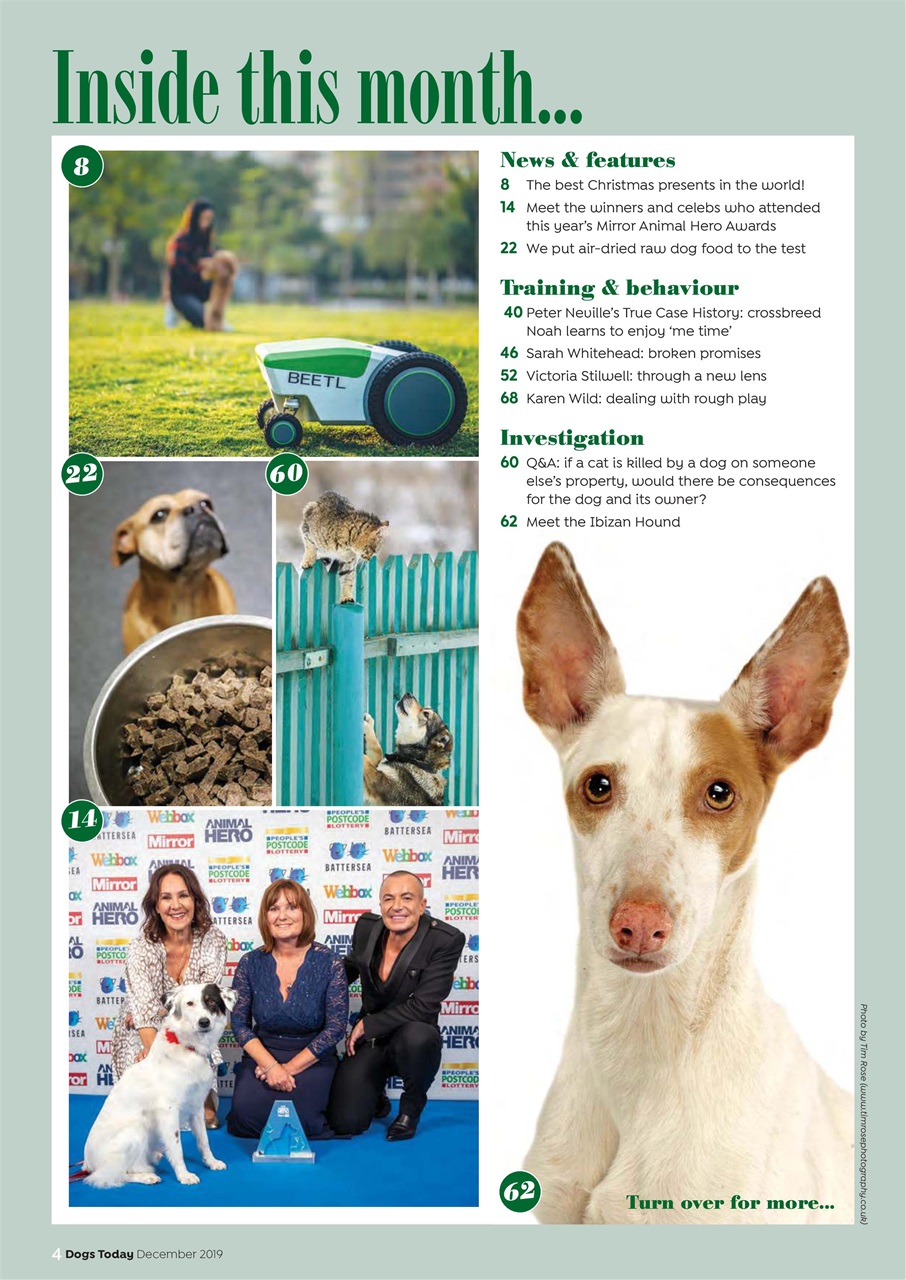 Dogs Today Magazine Preview Pages