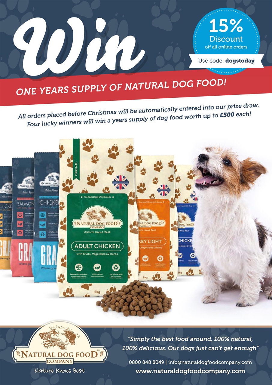Dogs Today Magazine Preview Pages