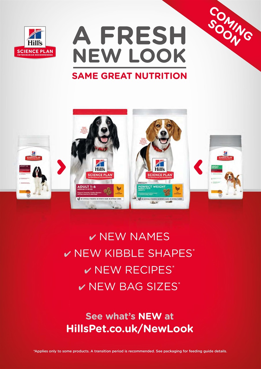 Dogs Today Magazine Preview Pages