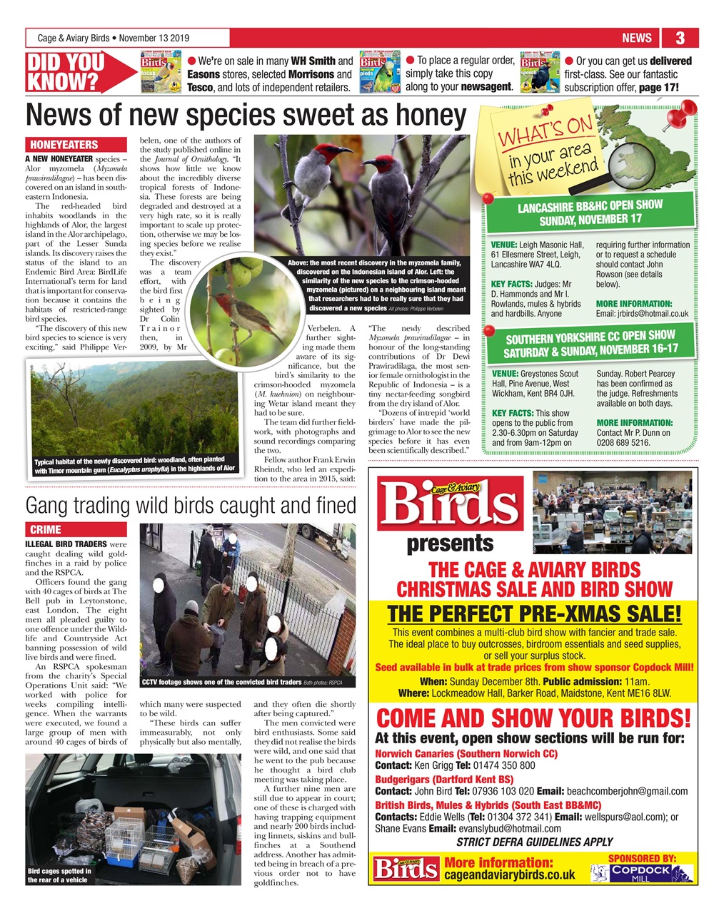 Cage & Aviary Birds Preview Pages