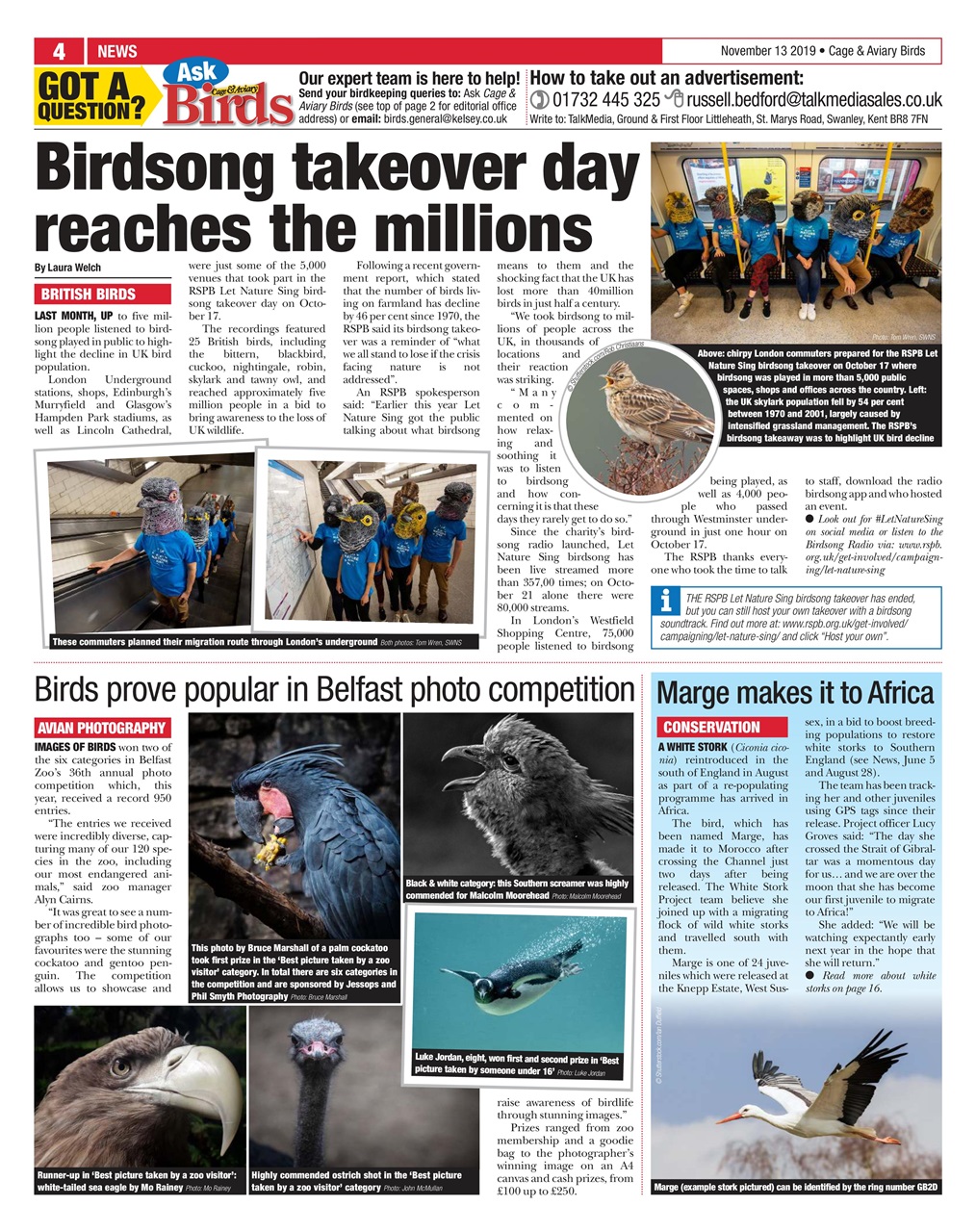 Cage & Aviary Birds Preview Pages