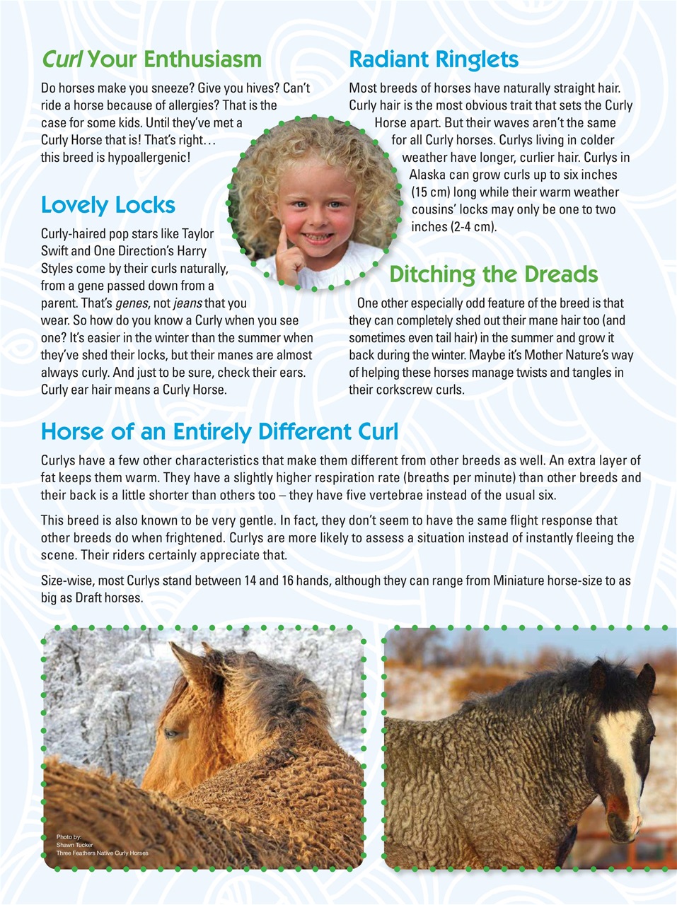 Blaze Magazine For Horse Crazy Kids Preview Pages