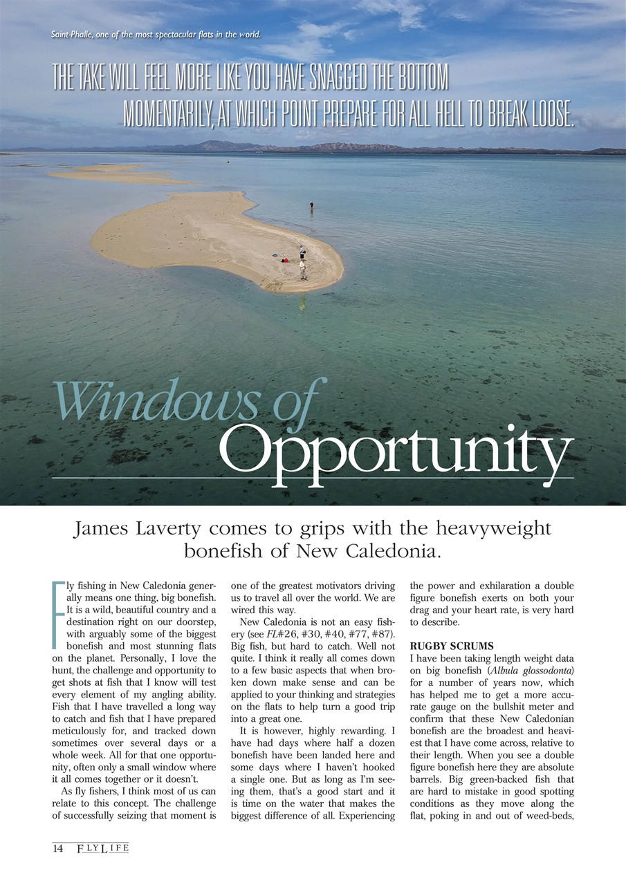 FlyLife Preview Pages