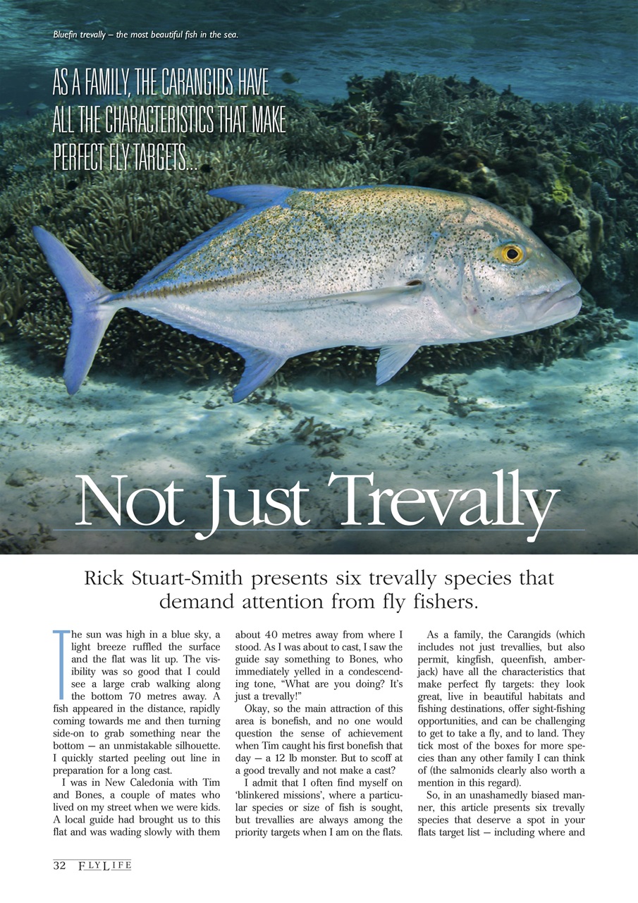 FlyLife Preview Pages