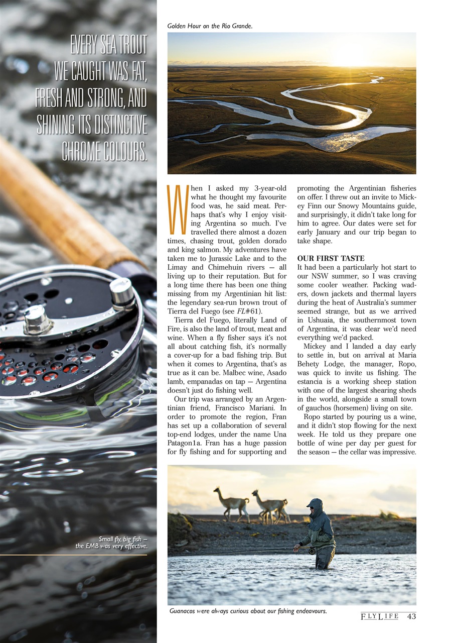FlyLife Preview Pages