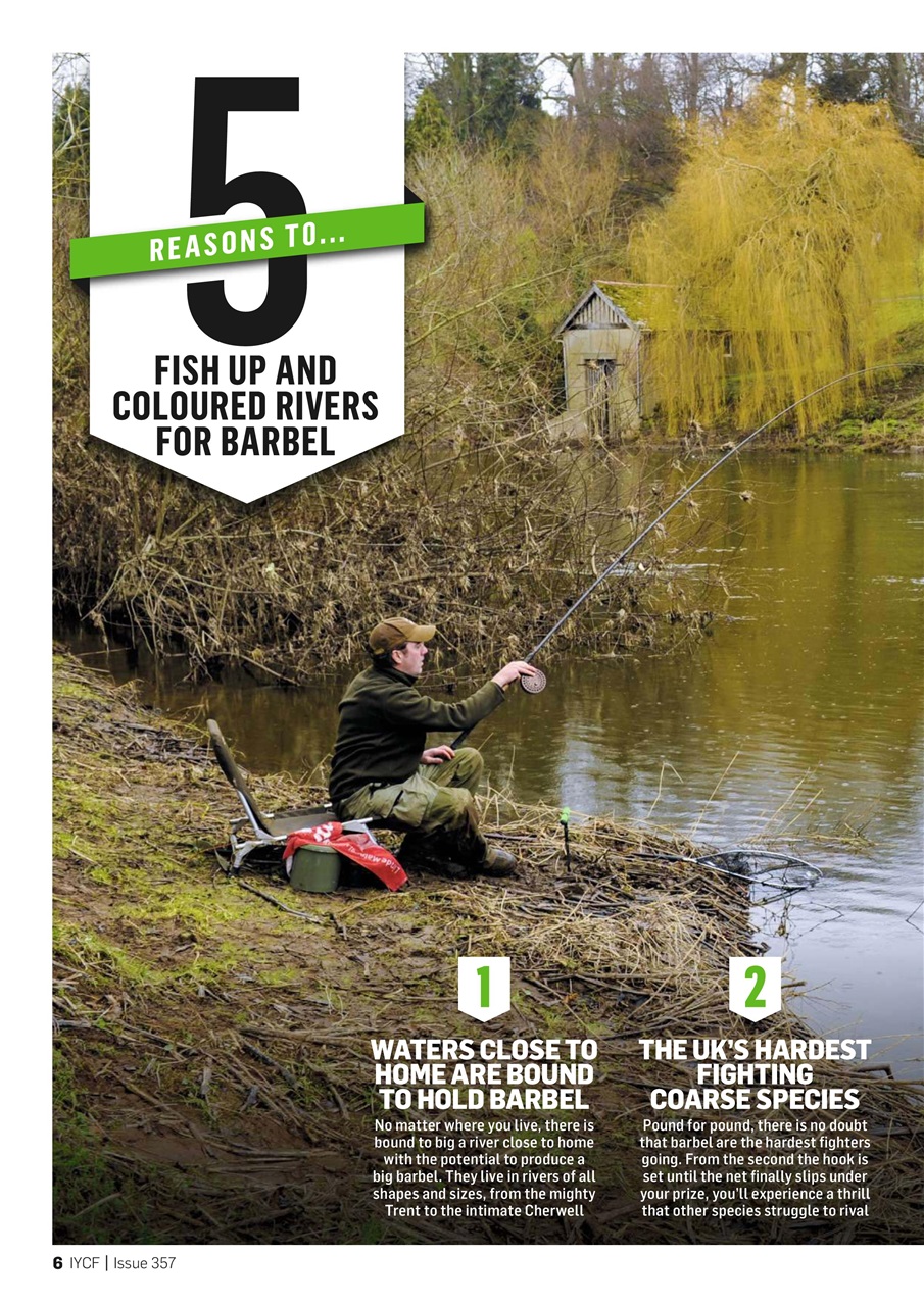 Improve Your Coarse Fishing Preview Pages