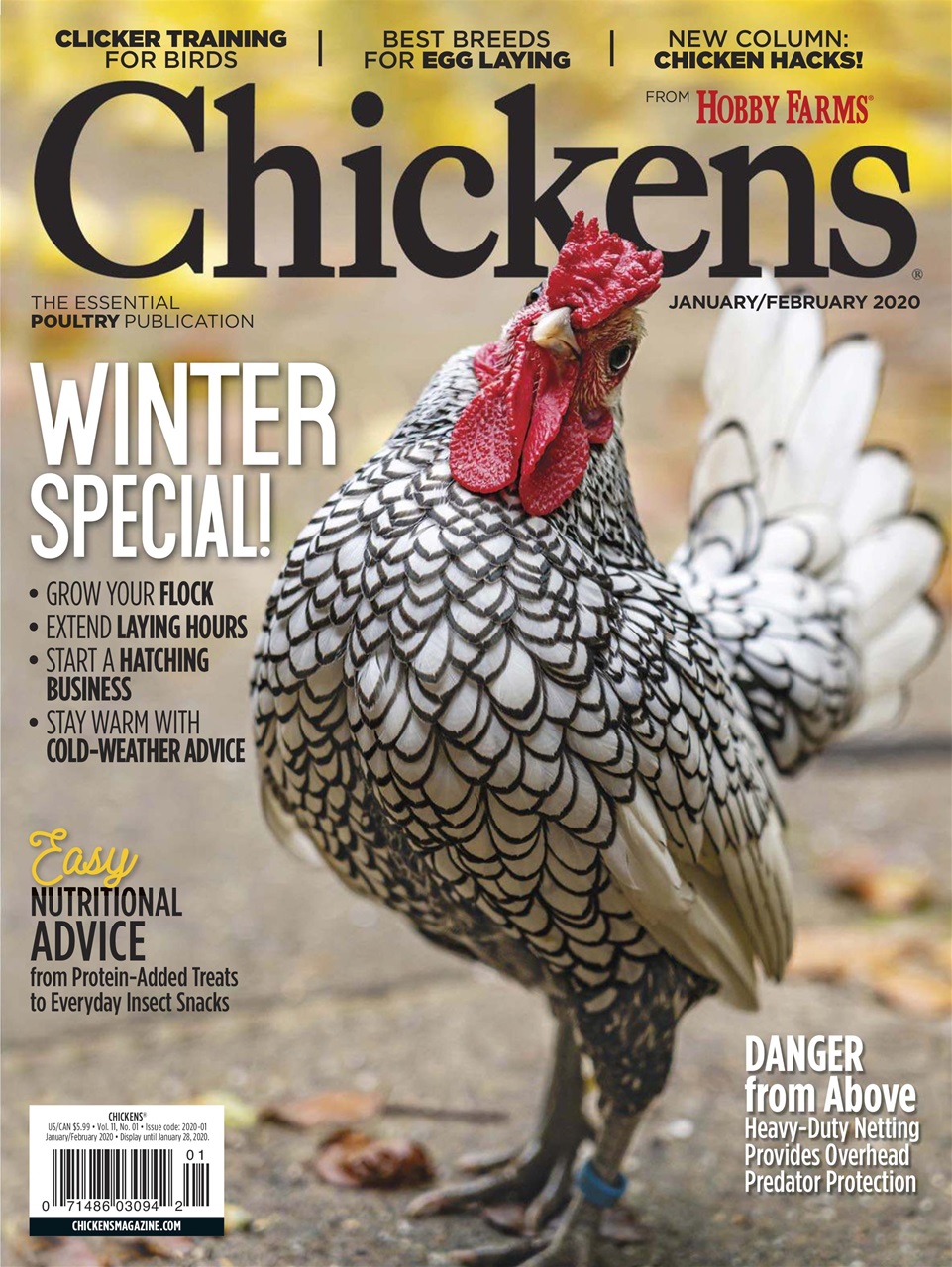 Chickens Magazine Preview Pages