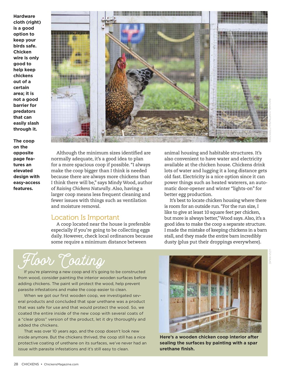 Chickens Magazine Preview Pages