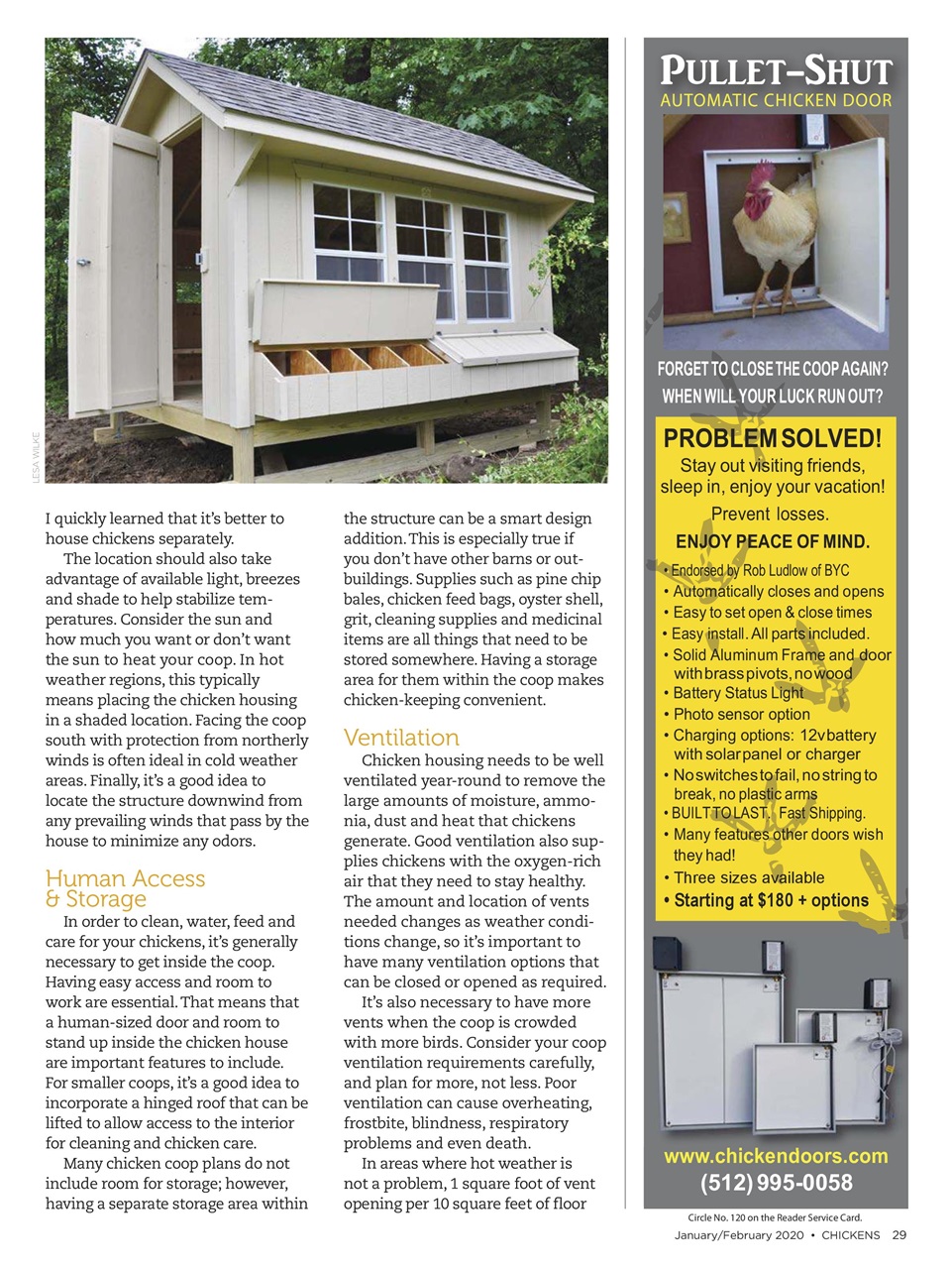 Chickens Magazine Preview Pages