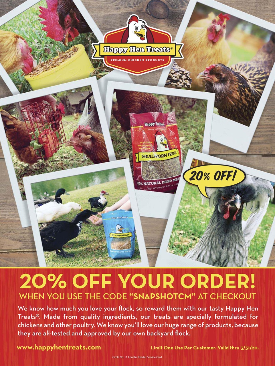 Chickens Magazine Preview Pages