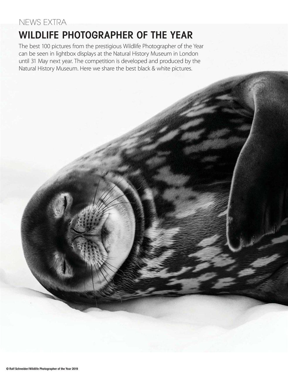 Black+White Photography Preview Pages