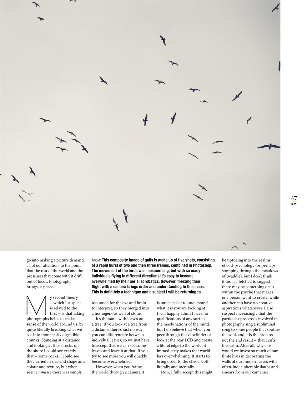 Black+White Photography Preview Pages