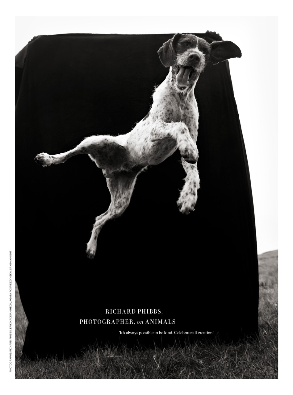 Harper's Bazaar Preview Pages