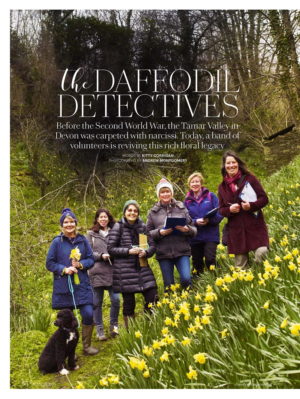 Country Living Preview Pages