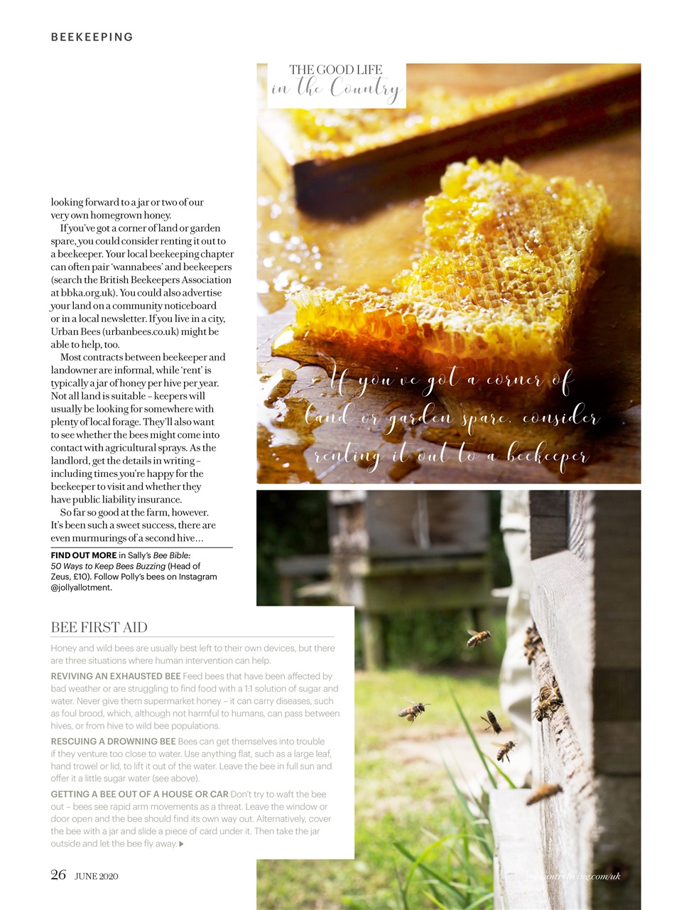 Country Living Preview Pages
