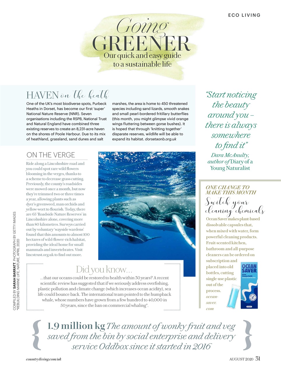 Country Living Preview Pages