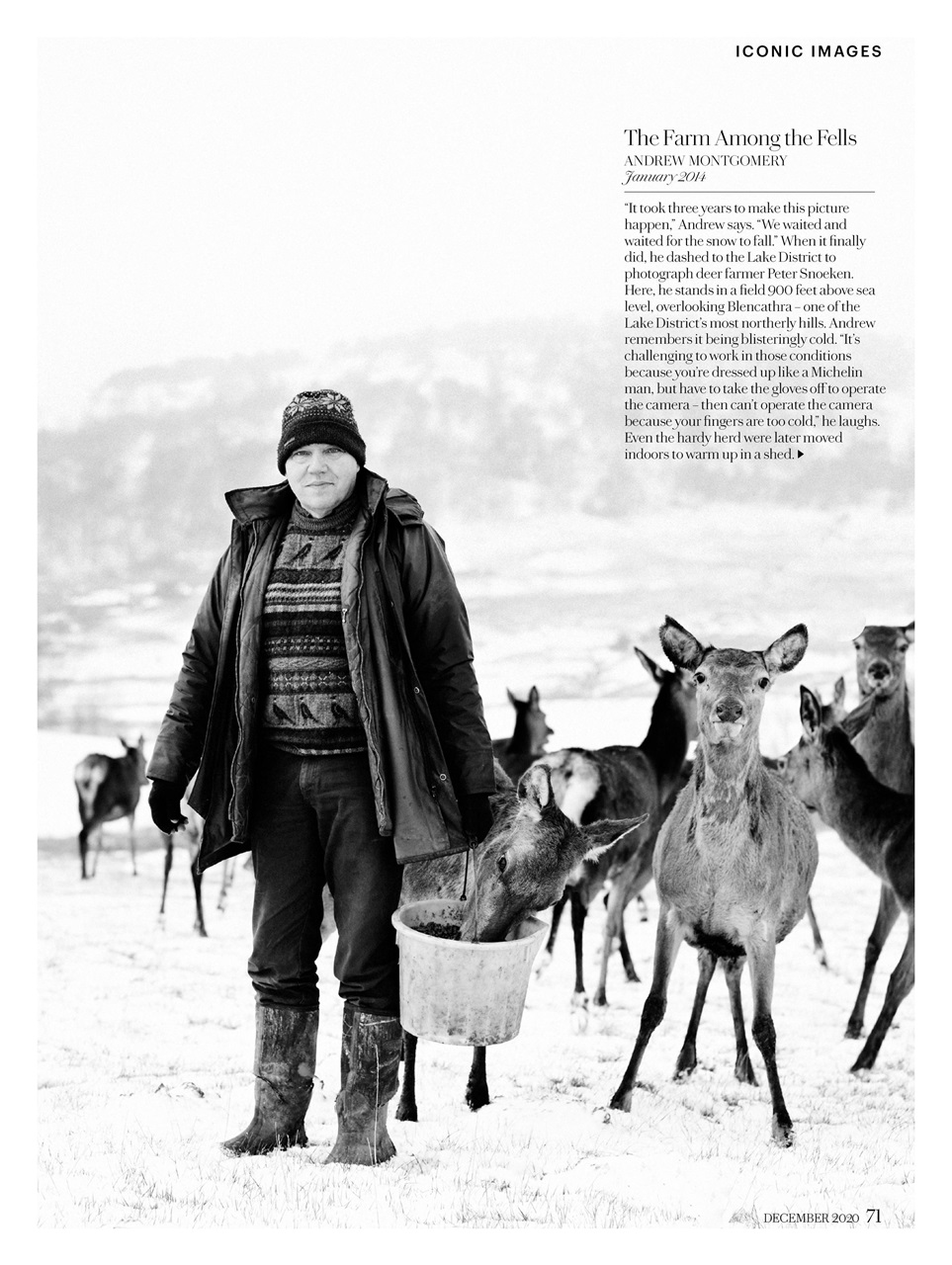 Country Living Preview Pages